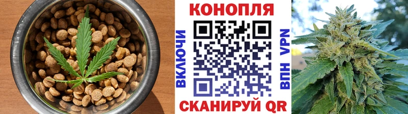 купить закладку  Шагонар  Печенье с ТГК марихуана 