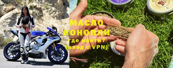 ГАЛЛЮЦИНОГЕННЫЕ ГРИБЫ Гусев