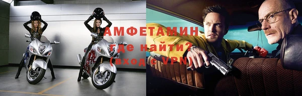 прущие грибы Гусь-Хрустальный