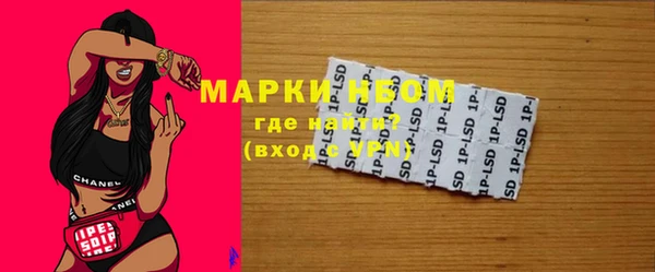 ГАЛЛЮЦИНОГЕННЫЕ ГРИБЫ Гусев