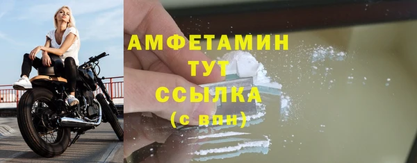 прущие грибы Гусь-Хрустальный