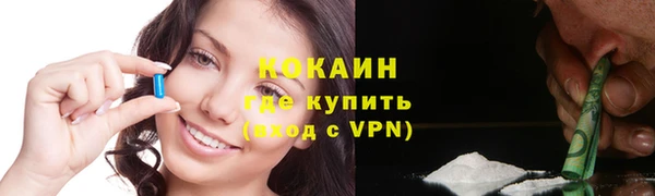 ГАЛЛЮЦИНОГЕННЫЕ ГРИБЫ Гусев