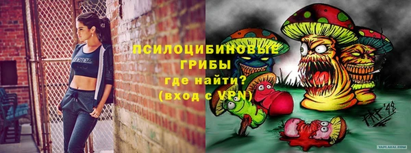каннабис Гусиноозёрск