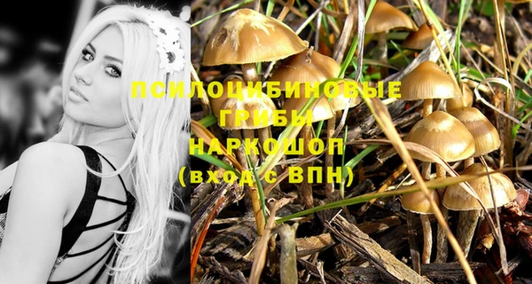 mix Горняк